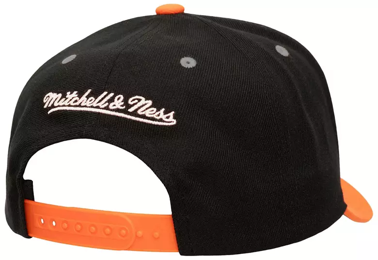 Mitchell & Ness Men's Anaheim Ducks Black GOT 5 Pro Snapback Hat