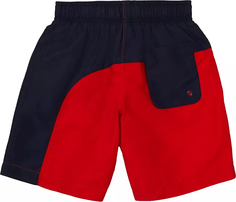 Speedo Boys' Colorblocked 15” Volley Shorts