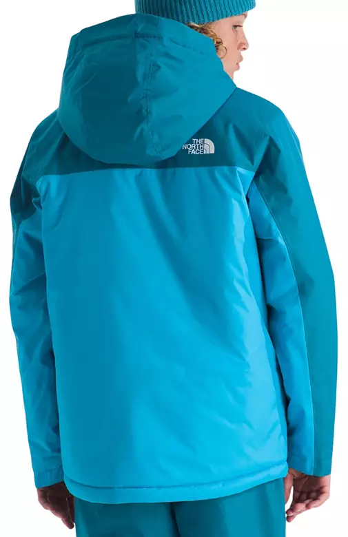 The North Face Boys' Freedom Insulated Jacket 3 The North Face Boys' Freedom Insulated Jacket