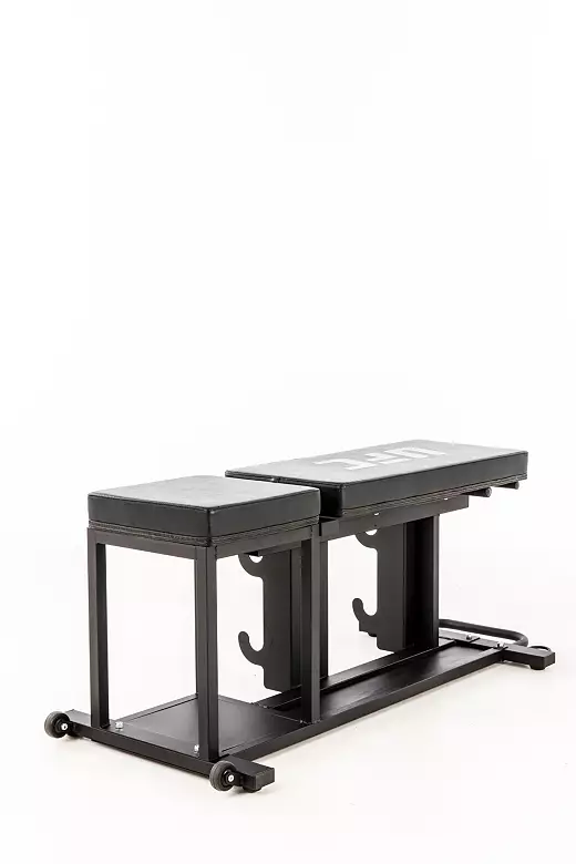 UFC Zone+ Bench